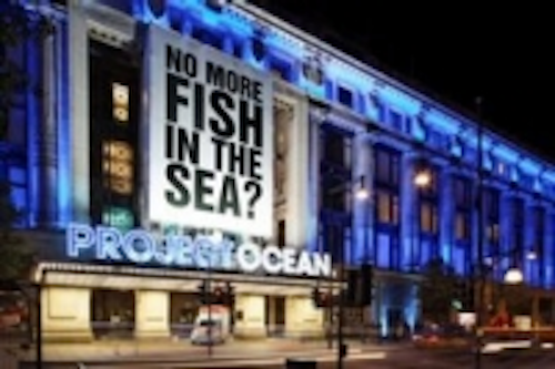 Content Dam Leds En Ugc 2011 08 Philips Helps Bring Selfridges Project Ocean Campaign To Life With Light Leftcolumn Article Thumbnailimage File