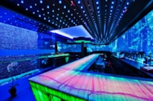 Content Dam Leds En Ugc 2011 10 Anolis Finds A Safe Haven Leftcolumn Article Thumbnailimage File