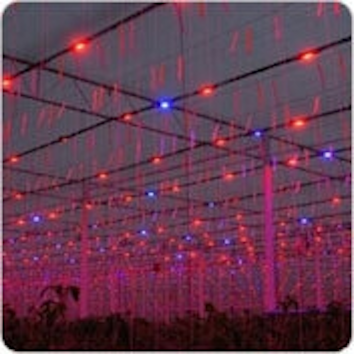 Content Dam Leds En Ugc 2011 10 Neon Ec Has Stock For New Ir And Uv Leds Leftcolumn Article Thumbnailimage File