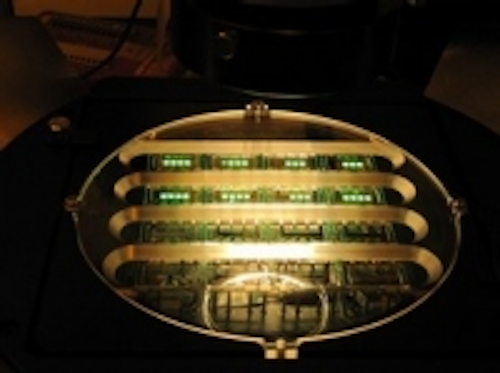 Content Dam Leds En Ugc 2013 05 Fraunhofer Comedd Presents Color Filter Less Full Color Oled Microdisplays At Sid Leftcolumn Article Thumbnailimage File