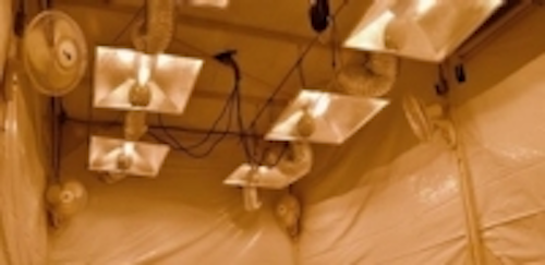 Content Dam Leds En Ugc 2013 10 Lighting Solution Development Research Indicates Grow Lights For Legalized Marijuana Crops Represent Leftcolumn Article Thumbnailimage File