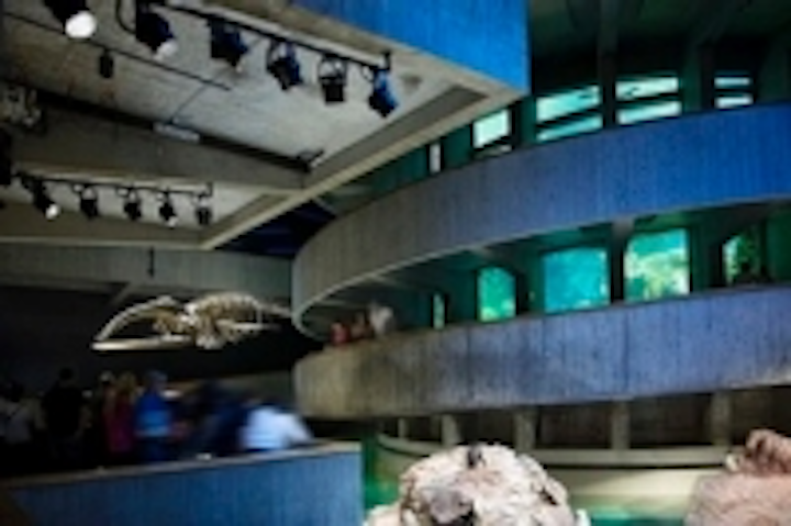 Content Dam Leds En Ugc 2013 10 New England Aquarium Recaptures Spotlight With Lumenpulse Led Lighting Fixtures Leftcolumn Article Thumbnailimage File