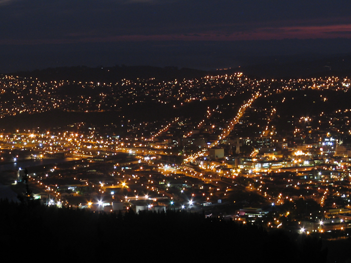 Dunedin Nz