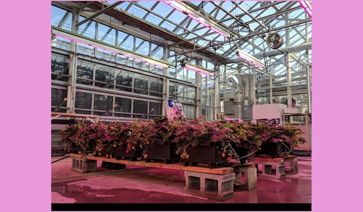 Glase Blog 071219
