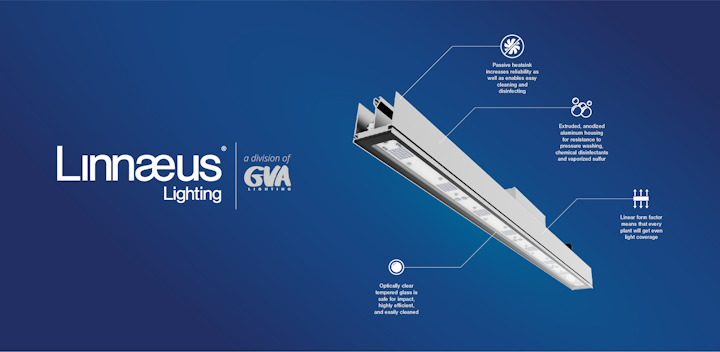 Linnaeus Lighting
