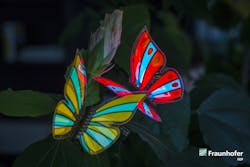 OLEDs lend themselves more than LEDs to fanciful design possibilities, such as these butterflies created by Fraunhofer. (Photo credit: Image courtesy of Fraunhofer FEP.)