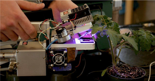 FIG. 1. Scientists “listen” to plants by measuring their responses to light, temperature, and CO2 in controlled environment agriculture (CEA). (Photo credit: Image courtesy of GLASE, Cornell University.)