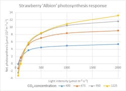 FIG. 2. Light and CO2 response can be measured for photosynthesis of the strawberry crop &ldquo;Albion,&rdquo; using a portable photosynthesis system. (Image credit: Graph courtesy of Jonathan Allred, PhD student, GLASE, Cornell University.)