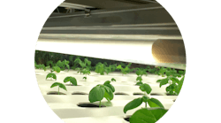 LED T5 grow light from Thrive Agritech