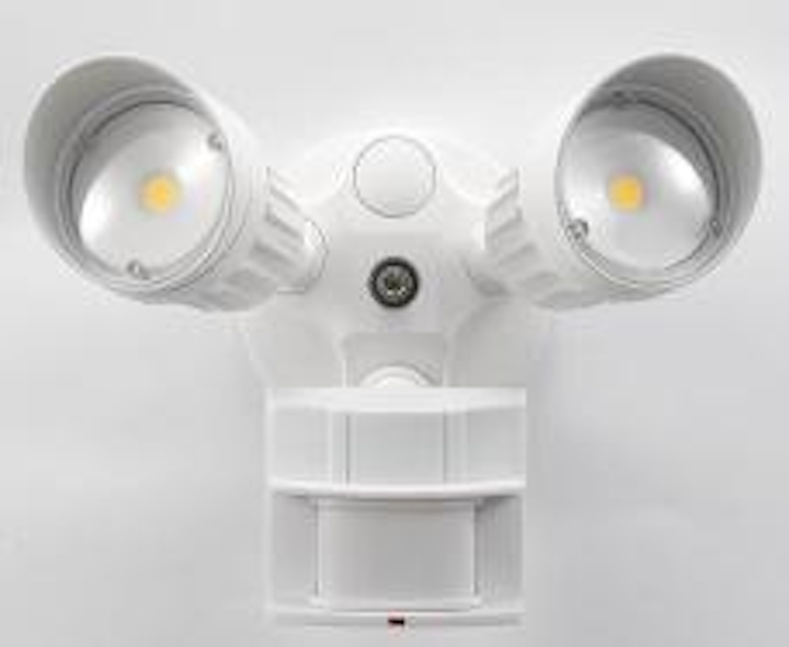LED security light