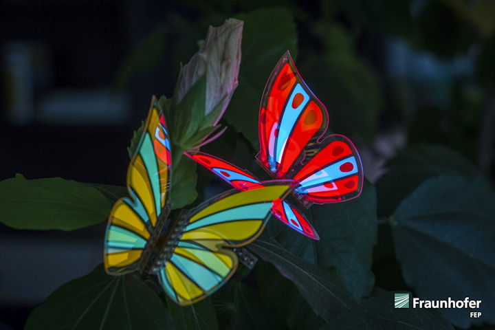 OLED Evaluation Kit MONARCH
