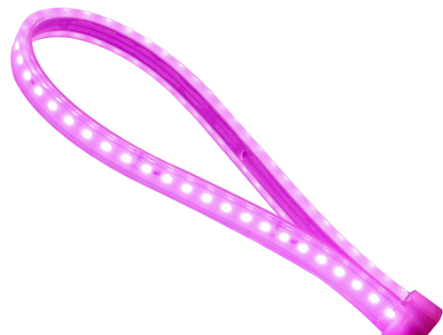 Horiticulture Rope Light