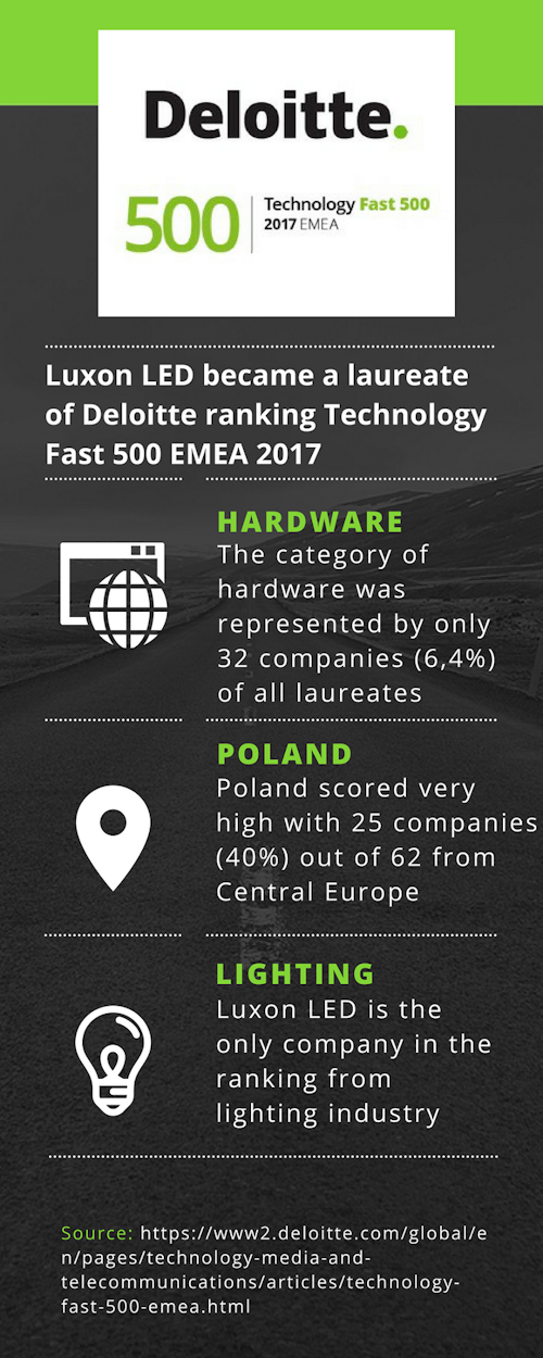 Deloitte Fast 500 infographics
