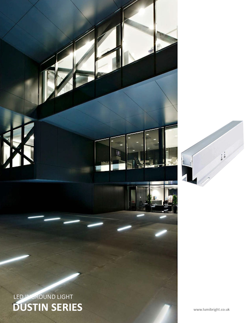 Dustin Linear Lights
