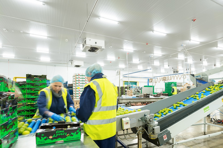 Total Produce, Spalding, UK