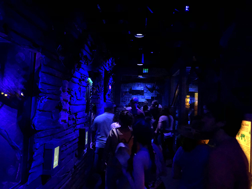 Altman Lighting goes nocturnal with the “Criaturas de la Noche” at the Audubon Zoo