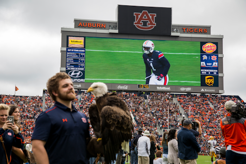 Auburn University Main Display 17