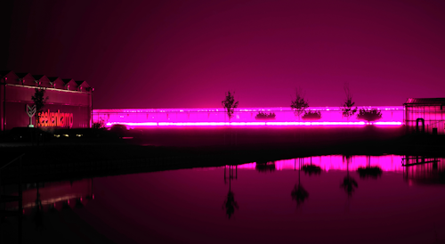 LED lighting in the greenhouse at Beekenkamp in 's-Gravenzande, the Netherlands. Photo credit: Image by kees torn via Wikimedia Commons, used under the terms of CC-BY-SA-2.0 (https://creativecommons.org/licenses/by-sa/2.0/deed.en).