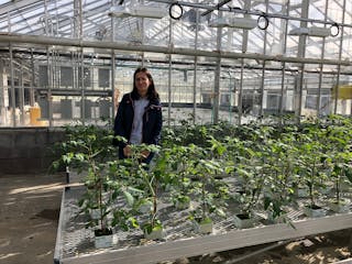 As a visiting plant scientist at LESA, Dr. Jurga Miliauskiene has delved into pulsed-light application in controlled environment agriculture (CEA). (Photo credit: Image courtesy of Lighting Enabled Systems &amp; Applications Center at Rensselaer Polytechnic Institute.)