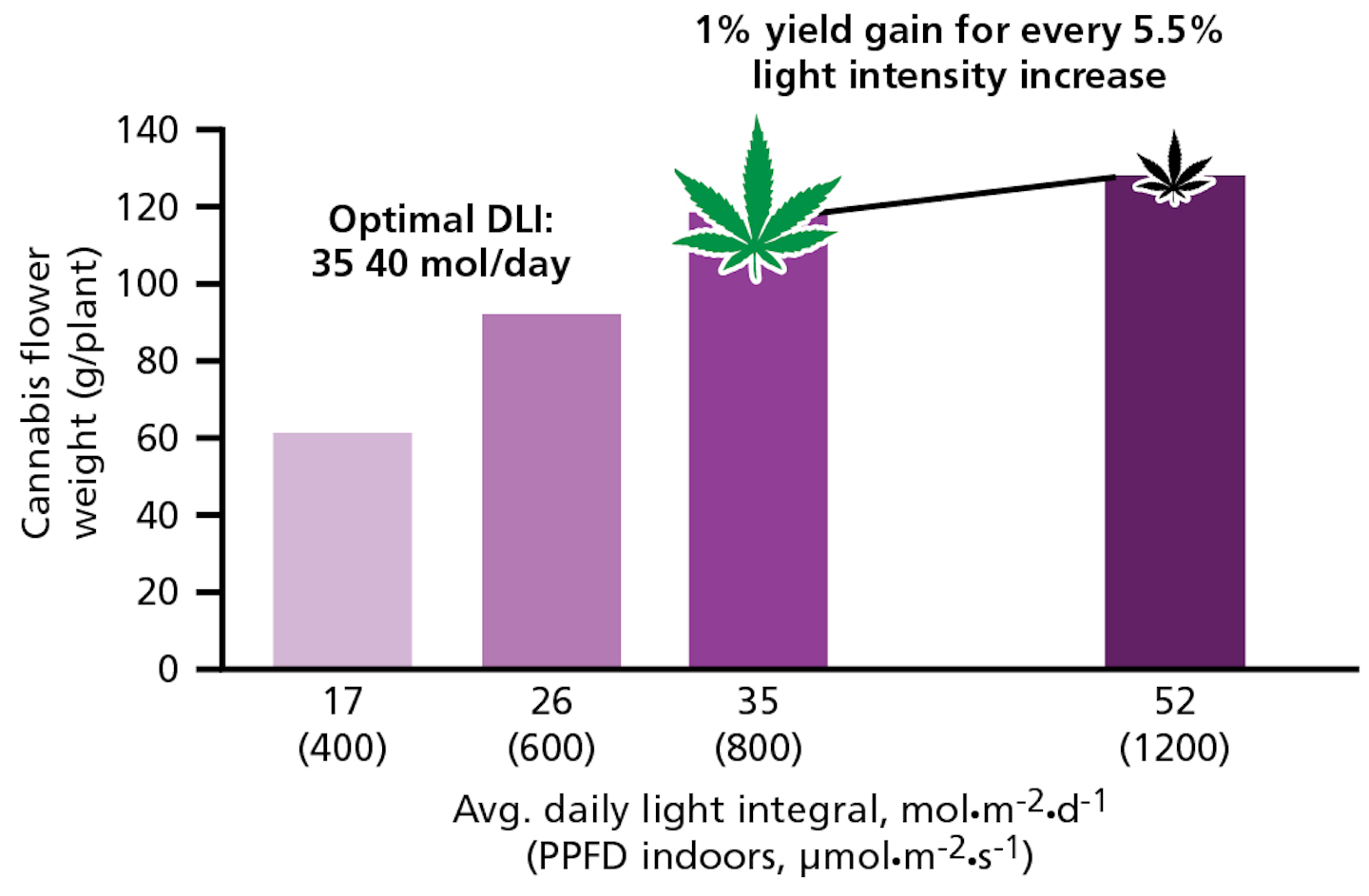 FIG. 2. Cannabis flower weight increase (g/plant) is correlated to increases in light intensity, but tends to stabilize between 35 and 52 mol·m-2·d-1. This data can help growers determine how best to utilize supplemental lighting. (Data used with permission from Allison Justice Study; OutCo, The Hemp Mine.)