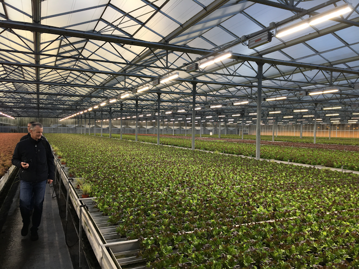 fluence bioengineering will leverage german horticultural wins to spread ssl presence leds magazine