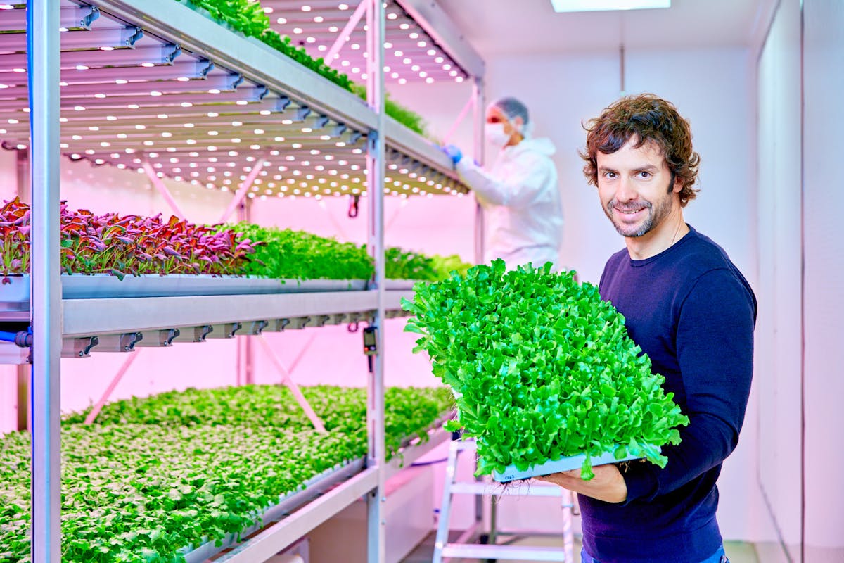 Signify horticultural business continues to sprout with six new
