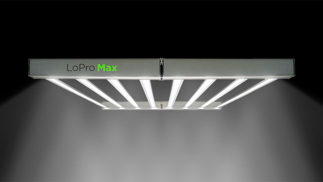 Active Grow Launches Ul Listed Lopro Max Horticultural Luminaires As Hps Replacements For Commercial And Home Growers Leds Magazine