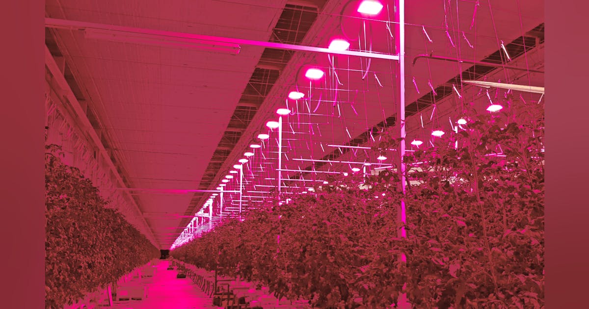 Best rated online grow lights 2020