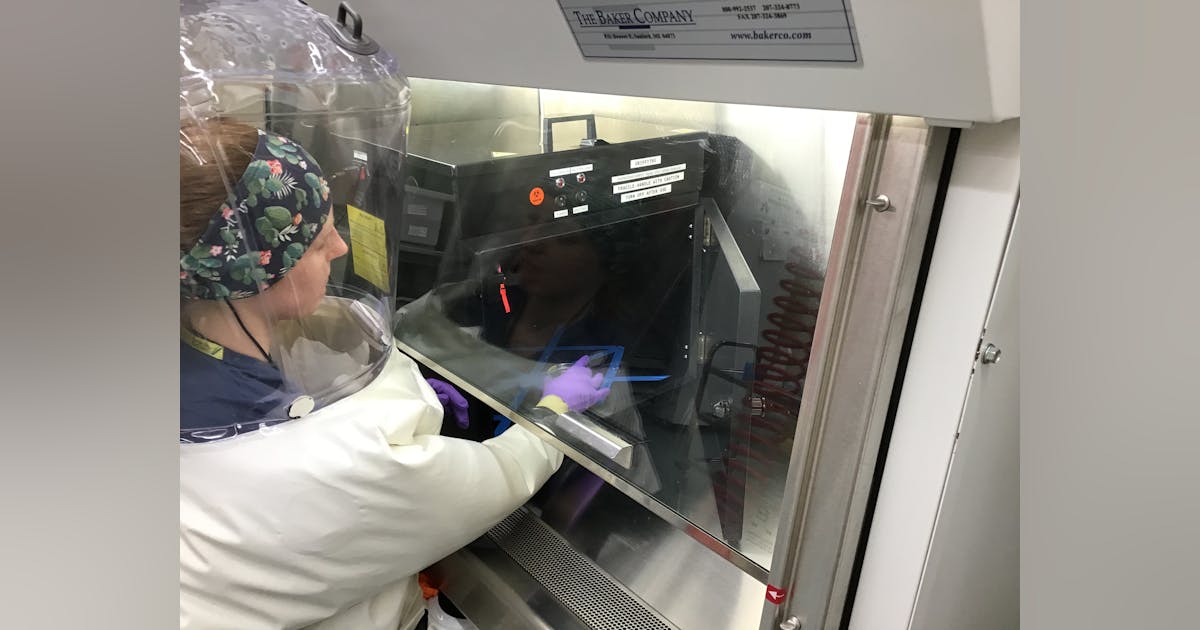 Boston University validates Signify UV C for coronavirus