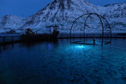 Signify LED fixtures can help promote healthier salmon and thus the fish farming bottom line. (Photo credit: Image courtesy of Signify.)