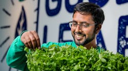 GoodLeaf director of horticulture Krilen Ramanaidu with LED-grown pea shoots. (Photo credit: Image courtesy of Signify.)