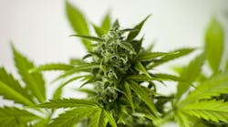 Photo credit: Image courtesy of M. Maggs via Pixabay; used under free license for commercial or non-commercial purposes Photo credit: Image courtesy of M. Maggs via Pixabay; used under free license for commercial or non-commercial purposes