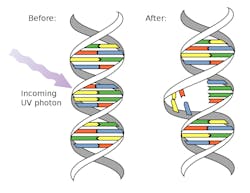 FIG. 1. Scientists have proven that ultraviolet (UV) photons harm the DNA molecules of living organisms in different ways. DNA bonds can be damaged, thus rendering a pathogen ineffective, or harmless, but deactivation dosages will vary; and more investigation with sample pathogens would drive R&amp;D studies toward much-needed standardization, said NIST&rsquo;s Cameron Miller during the Lighting R&amp;D Workshop. Image credit: Graphic available in the public domain from Wikimedia Commons - https://bit.ly/2LX6W34.