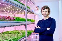 Planet Farms&rsquo; Luca Travaglini backs up Signify&rsquo;s point that prescribing a year of spectral content improves efficiency and helps keep down manual labor costs in controlled environment agriculture (CEA) operations such as vertical farms.