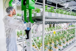 In a layered vertical farming operation, the Fluence broad-spectrum LED light fixtures enable cannabis grower Cannerald to optimize plant needs at various stages and to provide quality light for workers. (Photo credit: Image courtesy of Montel Inc., vertical racking provider for the Cannerald project.) In a layered vertical farming operation, the Fluence broad-spectrum LED light fixtures enable cannabis grower Cannerald to optimize plant needs at various stages and to provide quality light for workers. (Photo credit: Image courtesy of Montel Inc., vertical racking provider for the Cannerald project.)