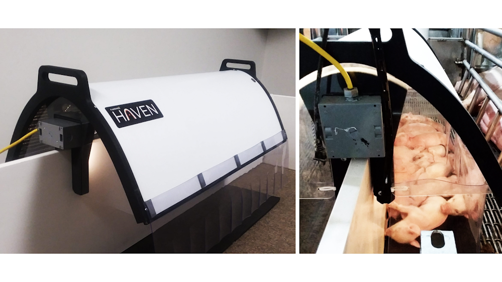 Livestock production is one area of agricultural research utilizing ultraviolet energy to improve the health and viability of animal food sources. Recent findings have shown that UV-B light improves vitamin D levels in piglet farrowing facilities. (Photo credit: Image by FarrPro, courtesy of SETi and Seoul Viosys.)