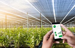 With the program&apos;s ninth cohort, the Wells Fargo Innovation Incubator is validating technologies that make indoor agriculture more sustainable. (Photo credit: Image courtesy of Donald Danforth Plant Science Center.)