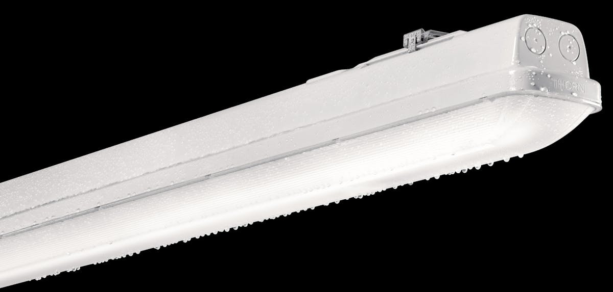 Thorn's Aquaforce Pro sets new standards for moisture-resistant LED lighting | LEDs