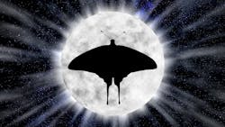 One theory for why moths fly to light is that they are attracted to the moon. We all know that hot bulbs can be fatal for them. In the bigger picture, artificial light in general is no friend of insects, say a group of British scientists who studied moth caterpillars. (Image credit: Graphic by Evan_Harrey via Pixabay; used under free license for commercial or non-commercial purposes.) One theory for why moths fly to light is that they are attracted to the moon. We all know that hot bulbs can be fatal for them. In the bigger picture, artificial light in general is no friend of insects, say a group of British scientists who studied moth caterpillars. (Image credit: Graphic by Evan_Harrey via Pixabay; used under free license for commercial or non-commercial purposes.)