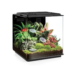 A reptile-oriented vivarium may be a surprising application for SunLike LEDs, but the sun-mimicking spectrum can benefit animals. (Photo credit: Image courtesy of Seoul Semiconductor.)