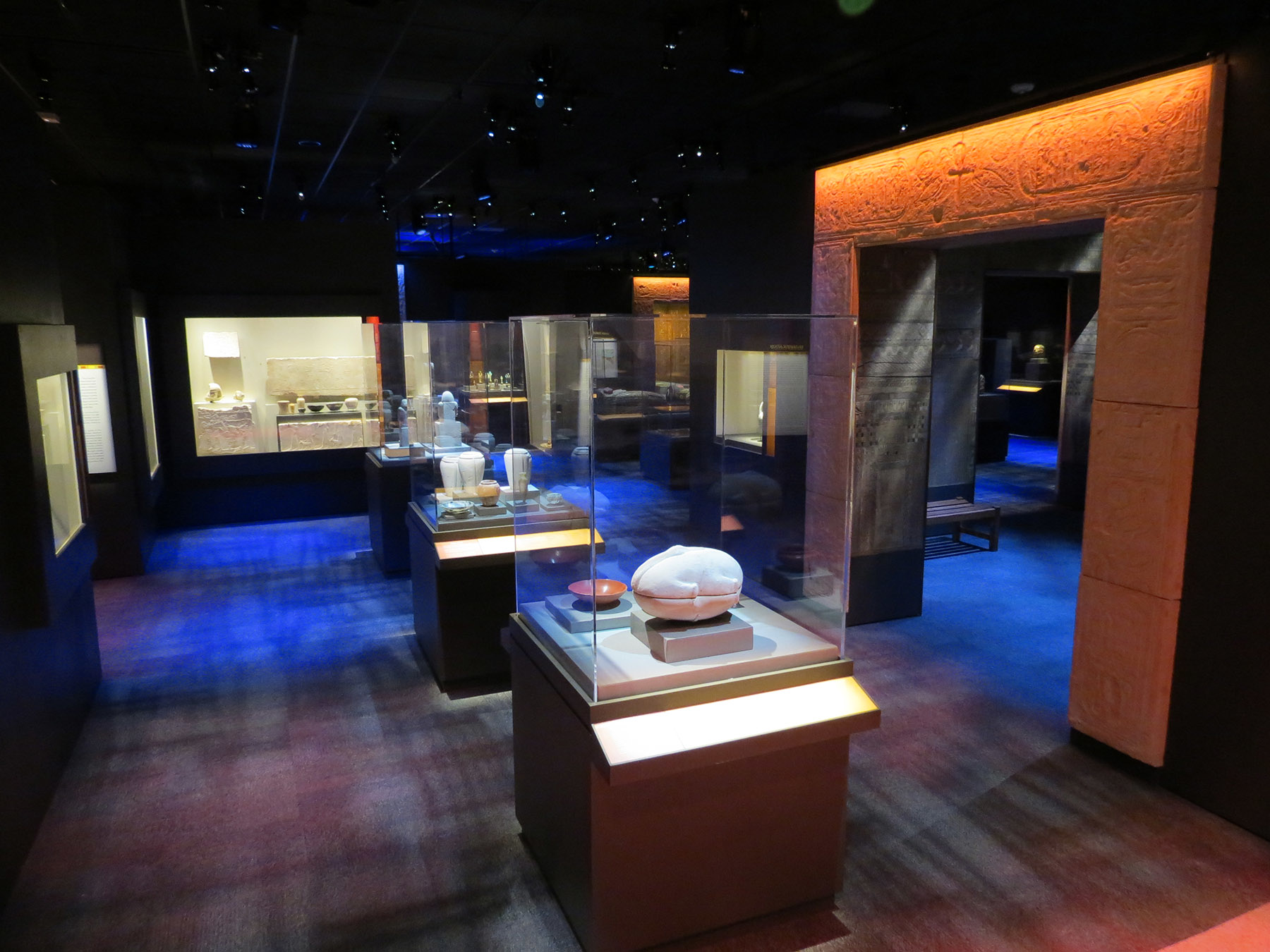 Photo credit: Image by Kevin Carpenter, courtesy of Houston Museum of Natural Science.