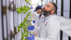 FIG. 3. Auburn University associate professor of horticulture Daniel Wells (top) said the campus produces about 100 lb of spring mix per week alone in just one of its LED-equipped Freight Farms “greeneries” (bottom), which help fuel the student populations’ bodies and minds via participation in the agricultural program. Photo credit: Images courtesy of Auburn University. FIG. 3. Auburn University associate professor of horticulture Daniel Wells (top) said the campus produces about 100 lb of spring mix per week alone in just one of its LED-equipped Freight Farms “greeneries” (bottom), which help fuel the student populations’ bodies and minds via participation in the agricultural program. Photo credit: Images courtesy of Auburn University.