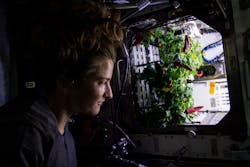A floating astronaut Kayla Barron admires the chili peppers in the LED-lit Advanced Plant Habitat. (Photo credit: All images in the public domain courtesy of NASA.)