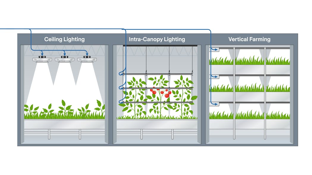 Optimizing the efficiency of LED lighting schemes for indoor farming LEDs Magazine