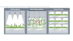 FIG. 1. LED lighting in horticulture can be mounted in ceiling, intracanopy, and vertical configurations depending on the cultivar needs and the layout of the built environment. All images, Advanced Energy