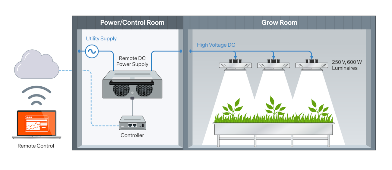 FIG. 2. Centralizing power conversion can improve horticultural lighting efficiency by reducing power losses.