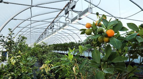 Sollum Technologies receives undisclosed amount of funding to expand its smart horticultural LED lighting technologies from investment firm Fondaction.