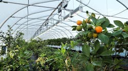 Sollum Technologies receives undisclosed amount of funding to expand its smart horticultural LED lighting technologies from investment firm Fondaction. Sollum Technologies receives undisclosed amount of funding to expand its smart horticultural LED lighting technologies from investment firm Fondaction.