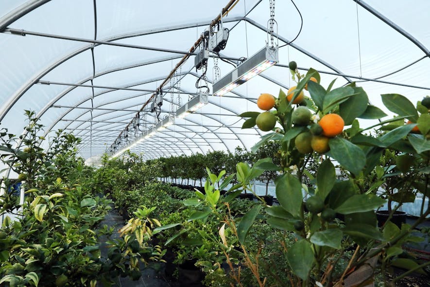 Sollum Technologies receives undisclosed amount of funding to expand its smart horticultural LED lighting technologies from investment firm Fondaction.