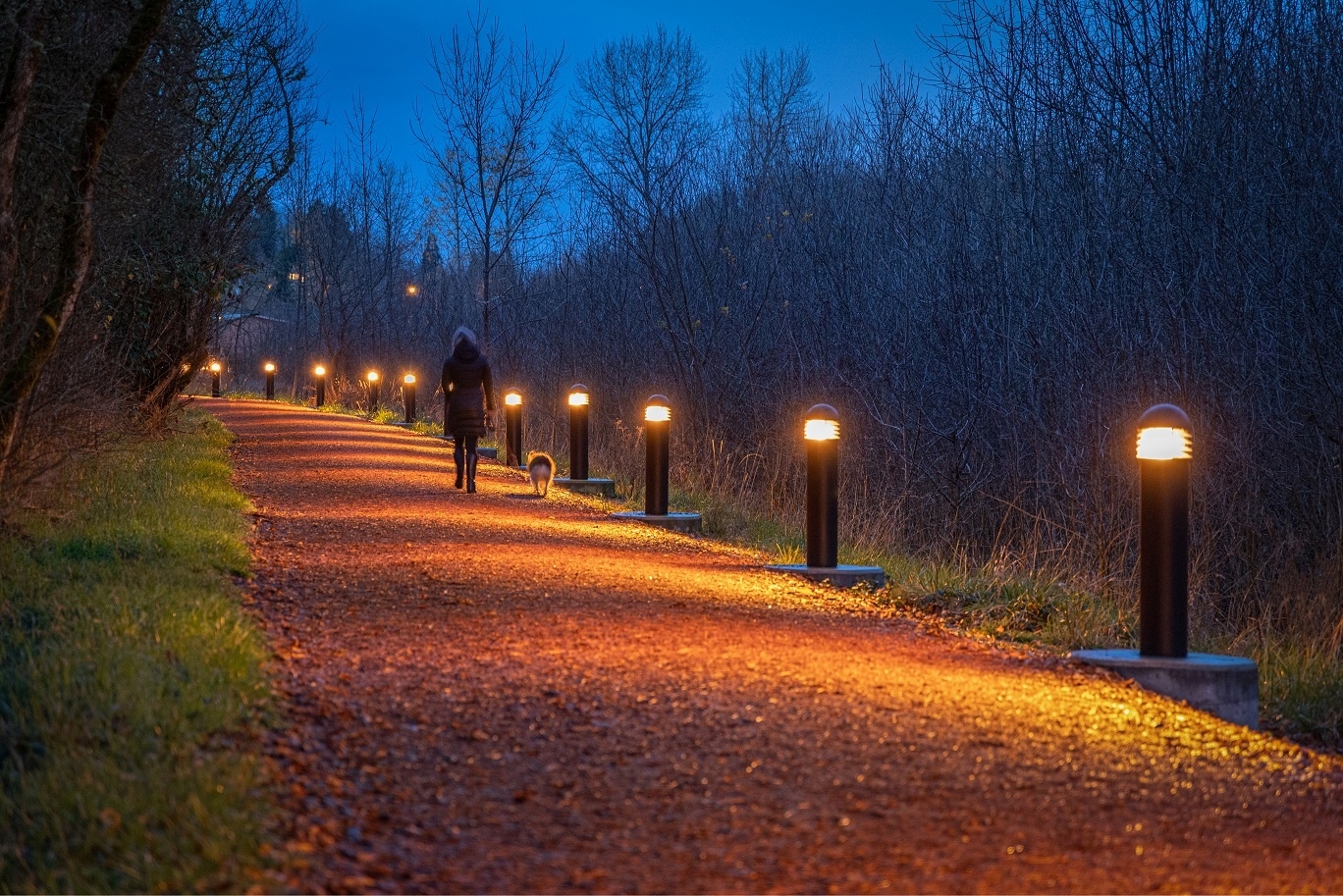 hydrel landscape lighting